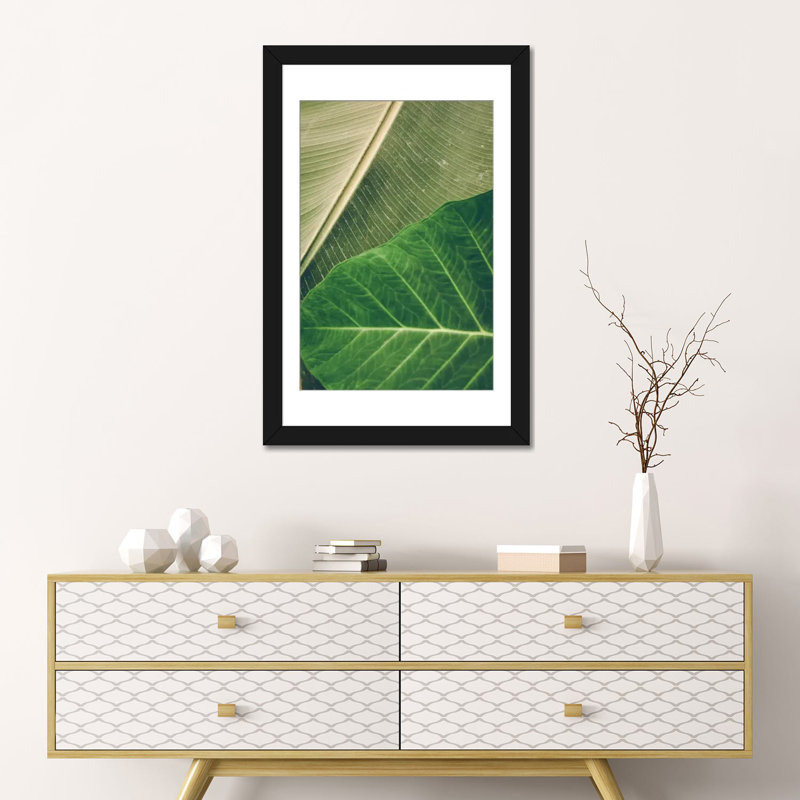 «Leaves I», impression sur toile, H 24 po x l 16 po x P 1 po, Papier beaux-arts encadré noir, Blanc