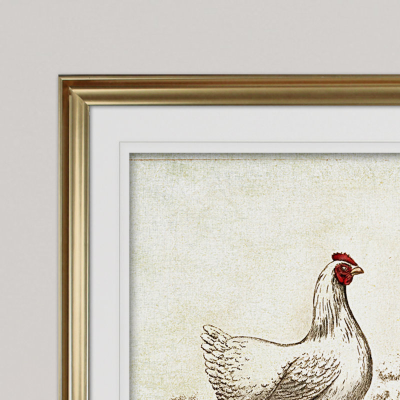 « poulet sketch ii », impression, Cadre doré, H 31 po x l 43 po x P 1,5 po, Blanc mat