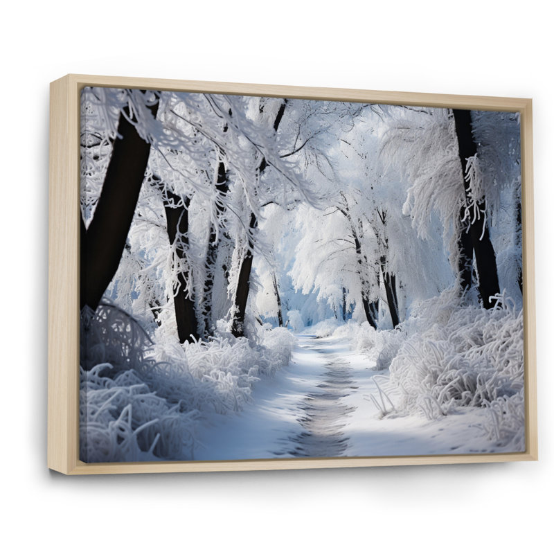 Winter Frosty Forest II - Print, Natural Floater Framed, 24" H x 32" W x 1" D