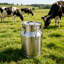 Conteneur de conservation des aliments Daniel-James en acier inoxydable de 30 L, seau à lait-1414009588