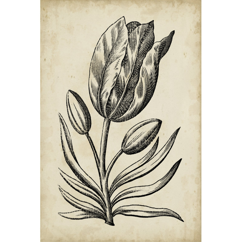 Distinguished Floral I - Painting on Canvas, 30cm H x 20cm W, Wrapped Canvas