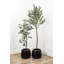 Faux olivier en pot Dore-1422237756