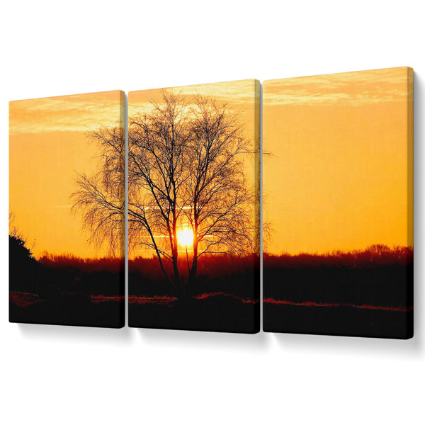 Ebern Designs Sun Through The Golden Tree - 3 Piece Wrapped Canvas ...