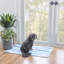 Tapis intérieur / extérieur bleu / jaune Kivett-1288723625