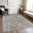 Machine Washable Indoor/Outdoor Xhevrie Pewter Rug-389055847