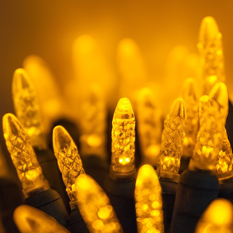288'' LED String Lights, Gold