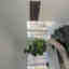 Customer photo 2 of 2