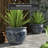 Prunty Handmade Ceramic Cachepot-744258556