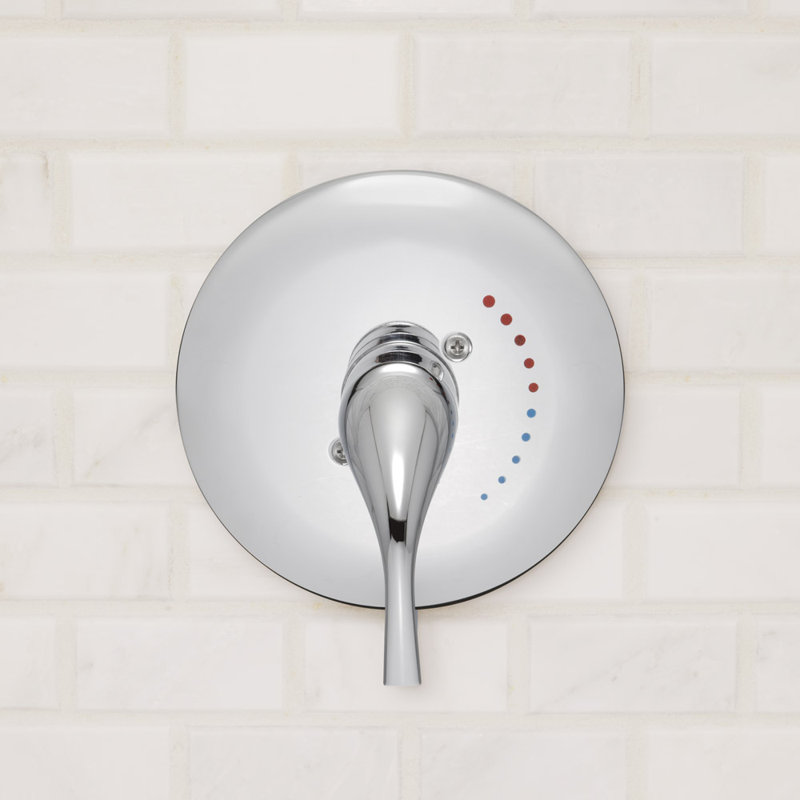 Rive Shower Valve and Trim