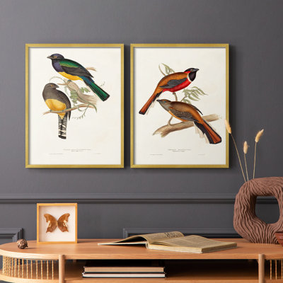 ElegantTrogonsIII-Premium Framed Print -Ready to Hang - No Nails Required - No Nails Required