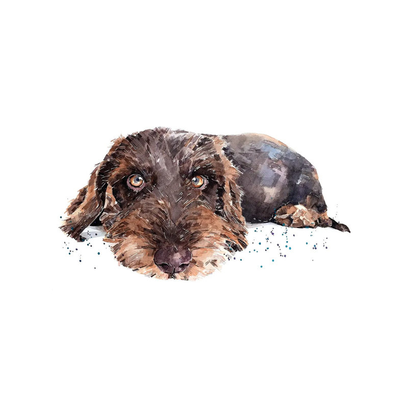 Brown Wirehaired Dachshund by EdsWatercolours - Wrapped Canvas Gallery-Wrapped Canvas Giclée, Wrapped Canvas, 12" H x 8" W
