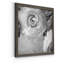 Renoncule foncé IV - cadre photo-1179620650-1179620652-1179599672