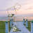 Iron Backdrops & Signs-1476856785