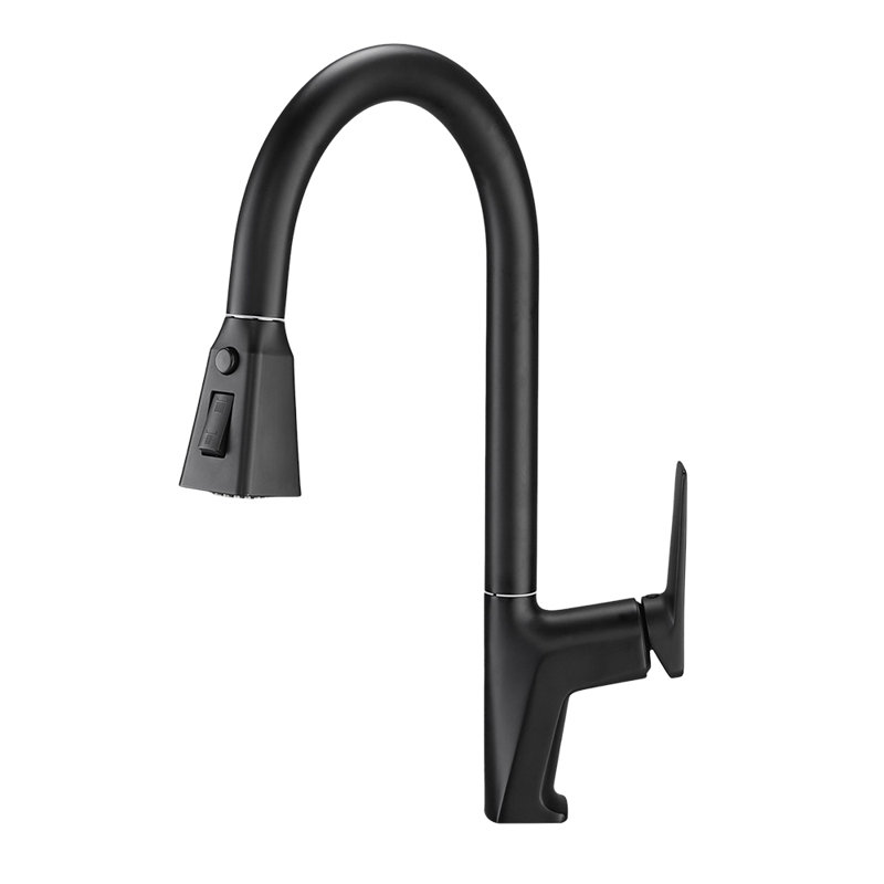 Brayden Studio Kitchen Faucet, Black