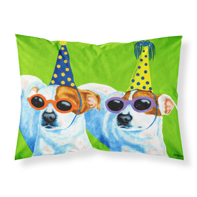 Microfiber