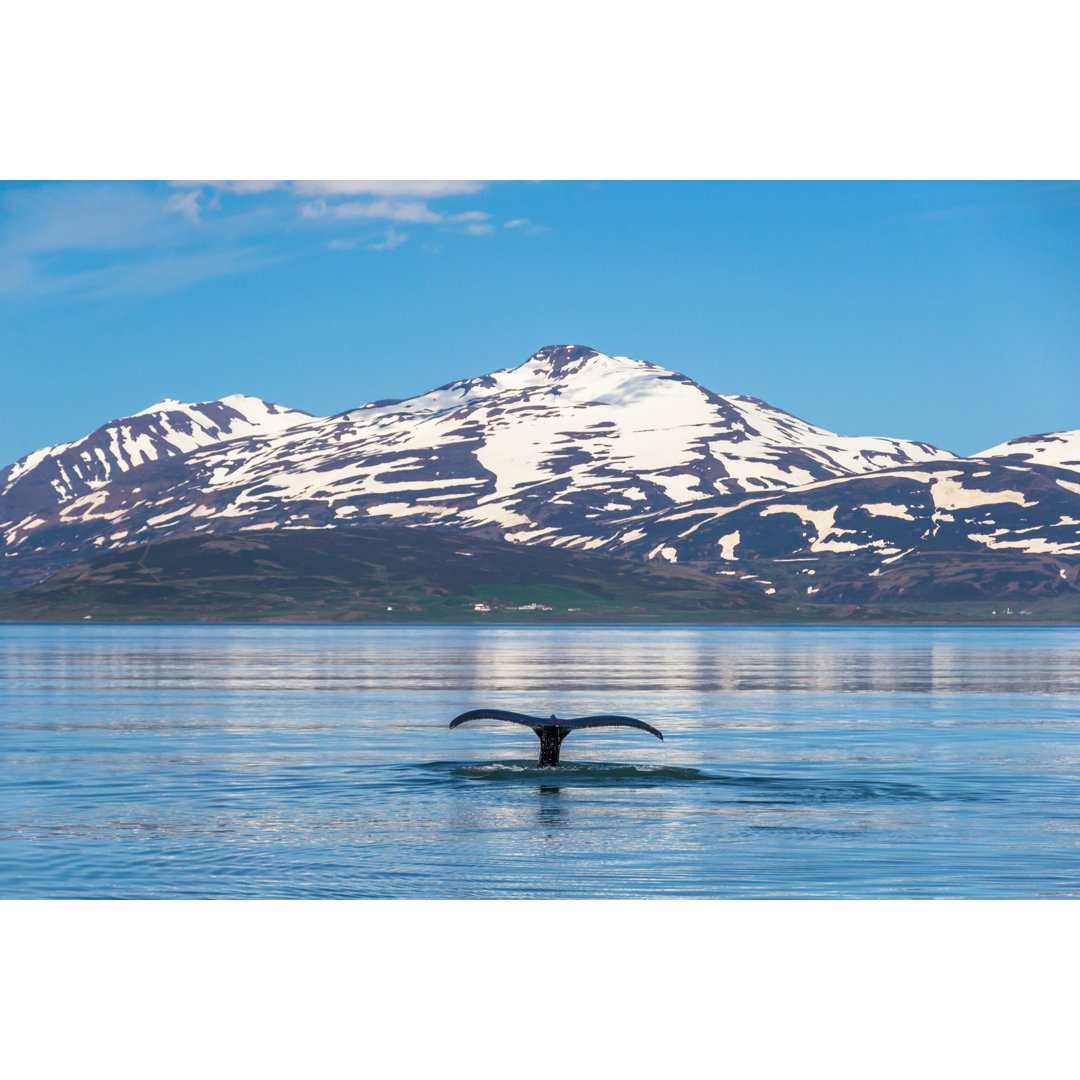 Leinwandbild Whale Tail Submerging In Icelandic Fjord