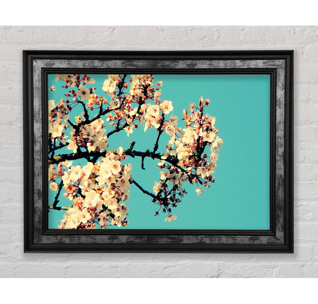 Blossom Tree Against A Blue Sky - Einzelner Bilderrahmen Kunstdrucke