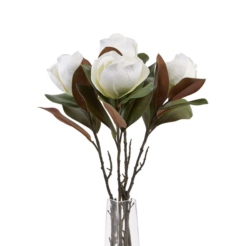 Anastasija Arrangement