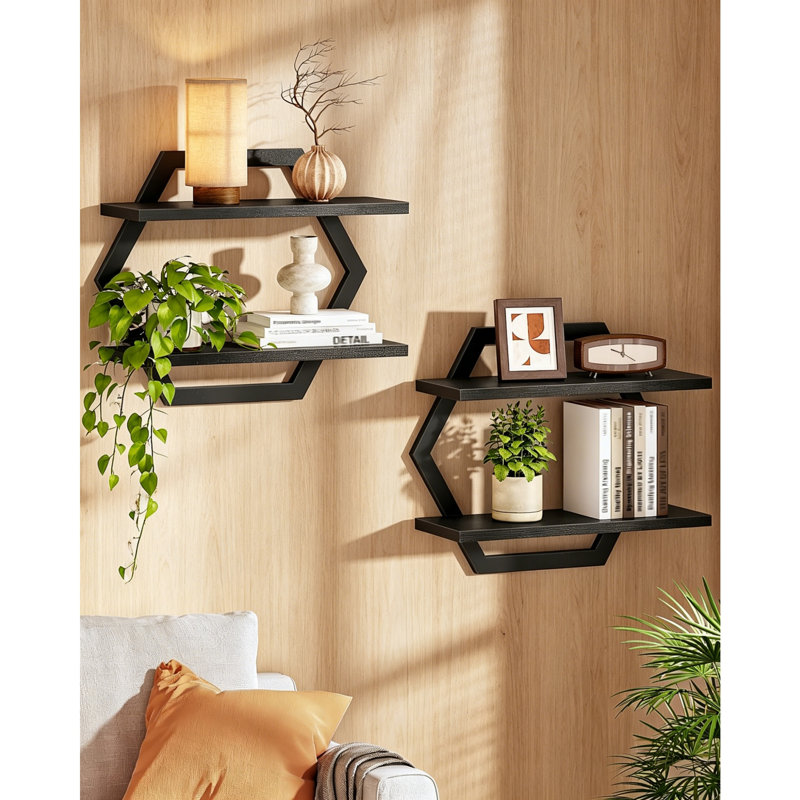 Set of 2 Black 2-Tier Hexagon Floating Wall Shelves, Metal Frame Wall Mounted Hanging Storage Display Shelving for Living Room, Bedroom, Kitchen, Home Office & Study Wall Décor