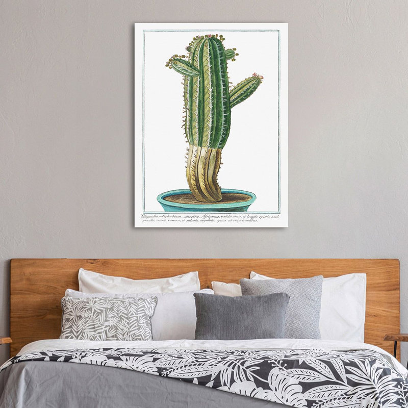 Tithymalus 1 Piece Wrapped Canvas Painting, 80cm H x 60cm W x 4cm D