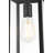 Allson 13 inch Outdoor Pendant in Black