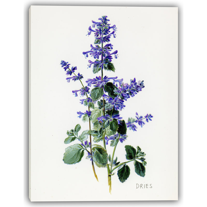 «Botanical Violet - Patchouli», art mural sur toile, H 36 po x l 24 po