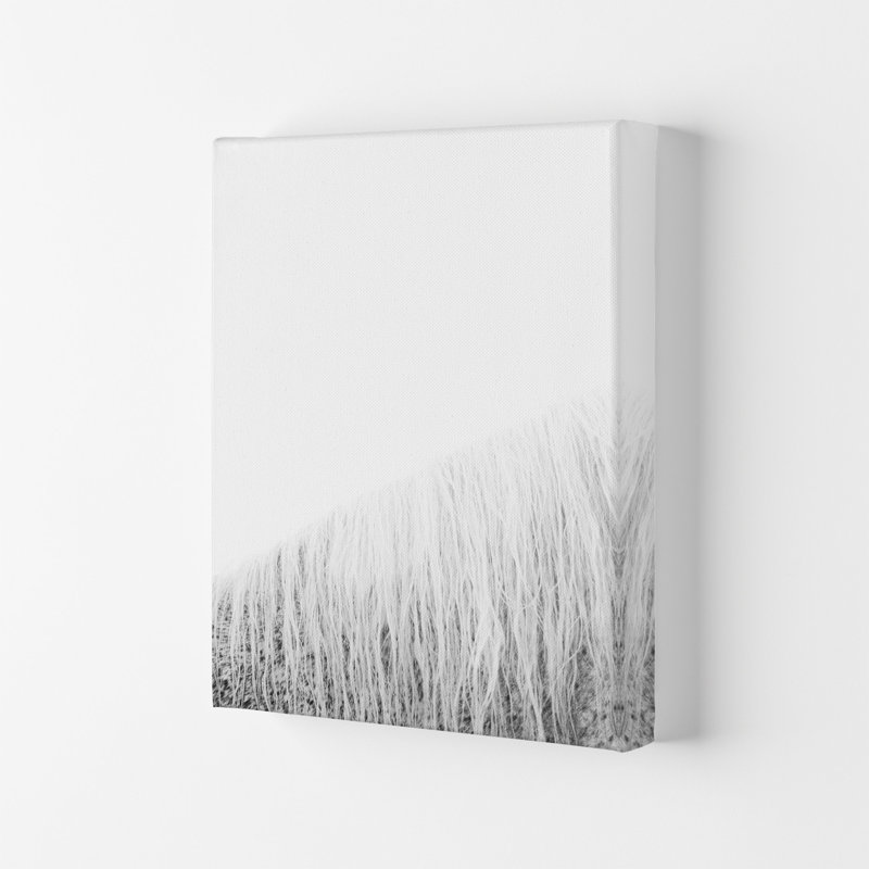 White Horse I by Victoria Frost - Print, Wrapped Canvas, 29.7cm H x 21cm W x 4cm D