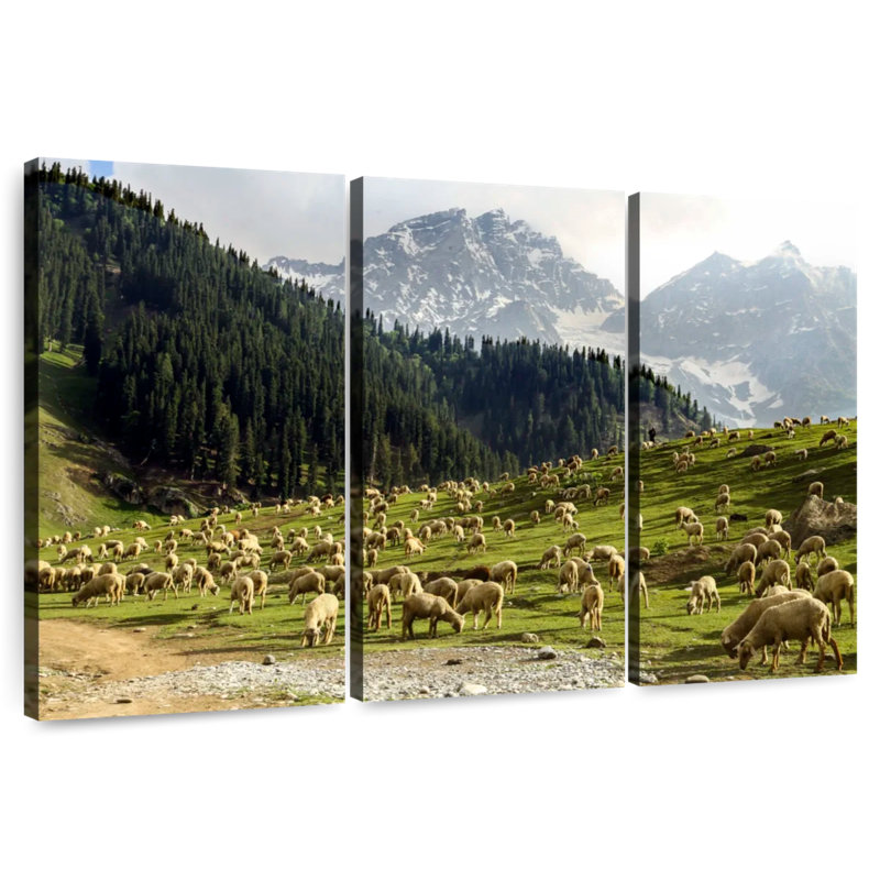 Brampt Kashmir Valley Sheep, 20" H x 33" W