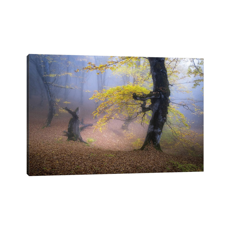Fog In Mazichal Forest by Hosein Babaei - Wrapped Canvas Print