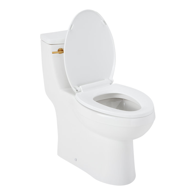 Brinstead One-Piece Elongated Skirted Toilet - Brushed Gold Handle, Brushed Gold