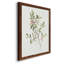 Toile encadrée simple Sprig IV de qualité supérieure - prête à être accrochée-1649907280-1649907283