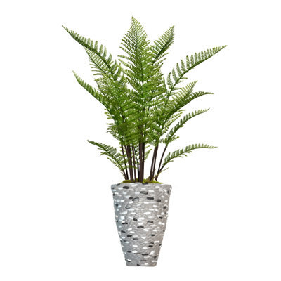 Panama 55" Artificial Fern Tree in Planter