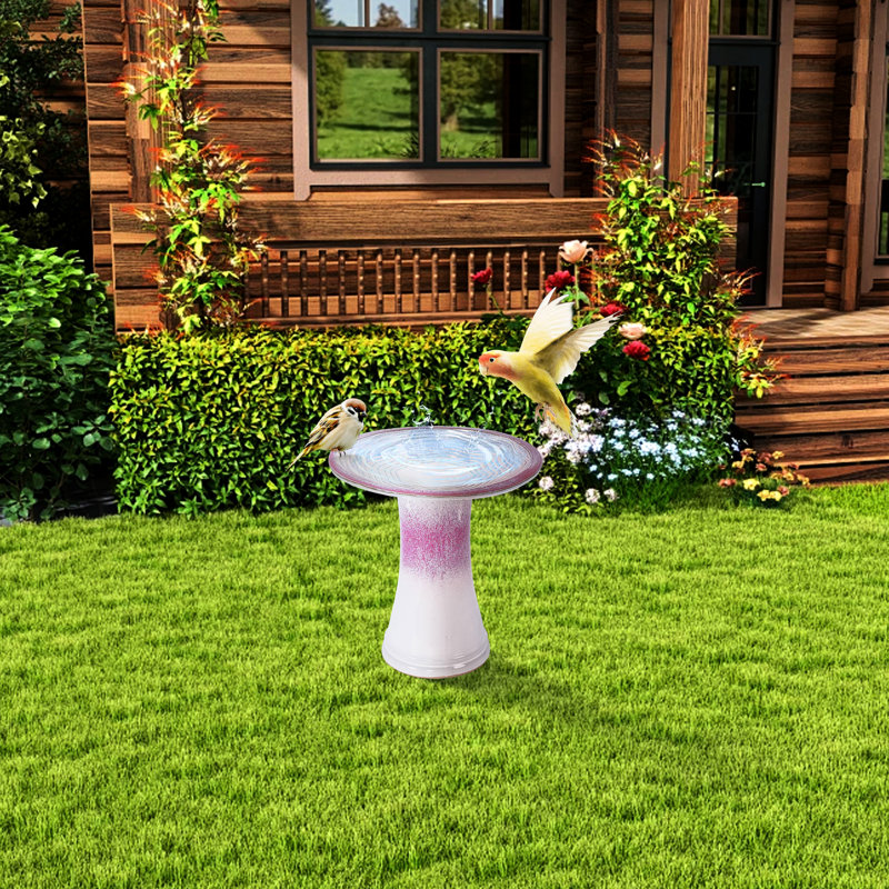 Bain d'oiseaux en céramique, patio, cour, finition dégradée rose et dégradé stable, espace extérieur, motif rayé élégant, temps chaud
