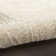 Nourison Avra Taupe Modern Indoor Rug