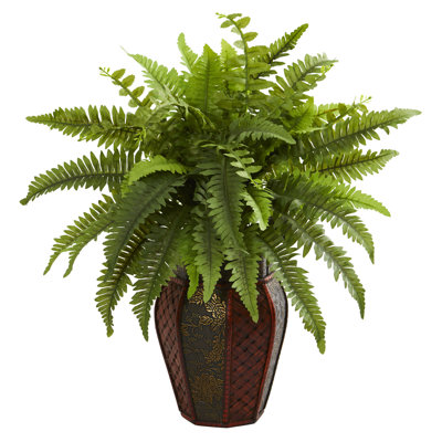 Fougère de Boston dans un vase décoratif
