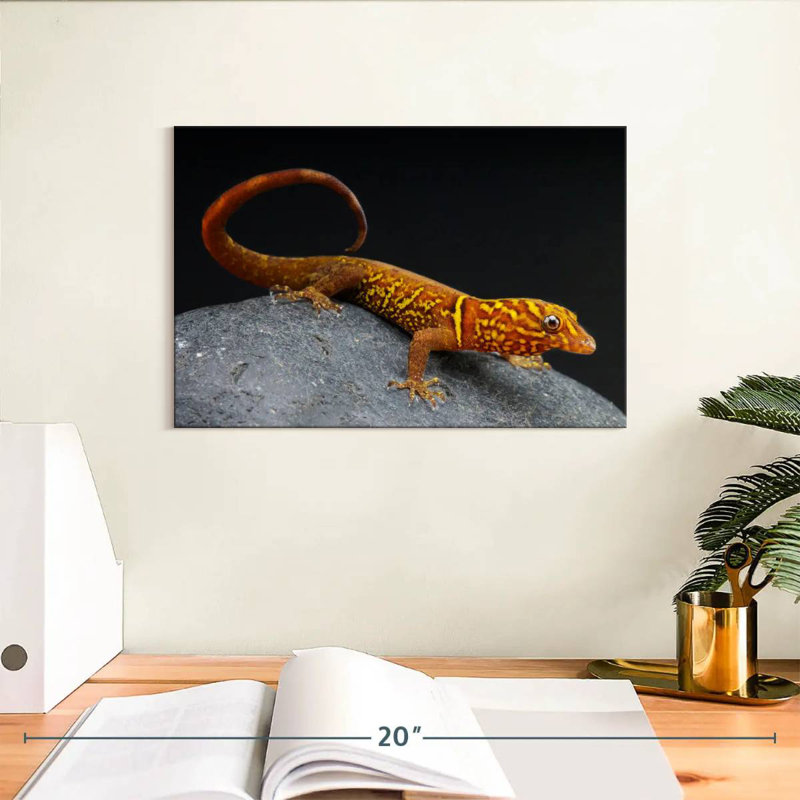 Brampt Gecko, 8'' H x 12'' W