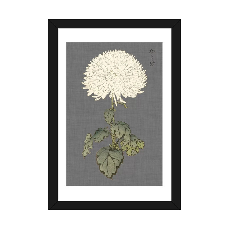 «Dramatic Ivory Mums I» par Vision Studio - impression sur toile tendue, H 32 po x l 24 po x P 1 po, Blanc