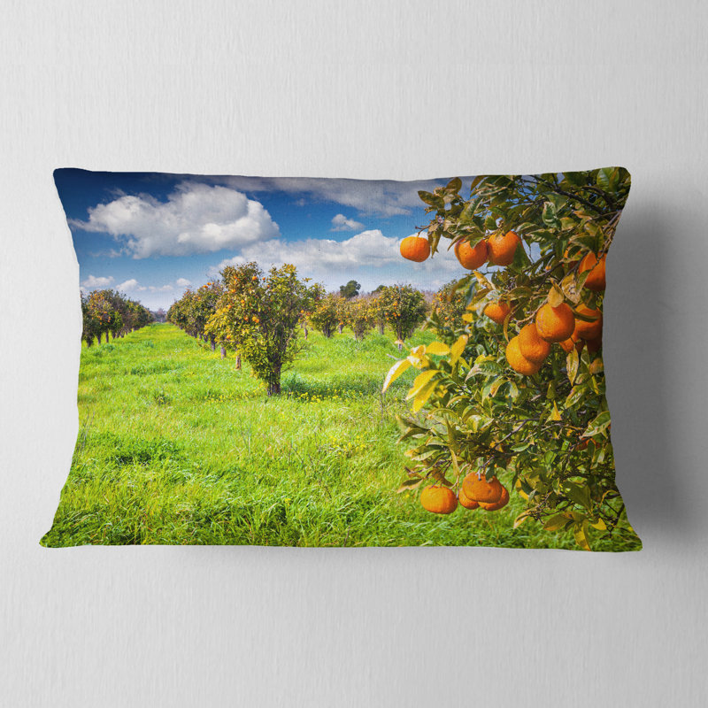 Coussin Schafer