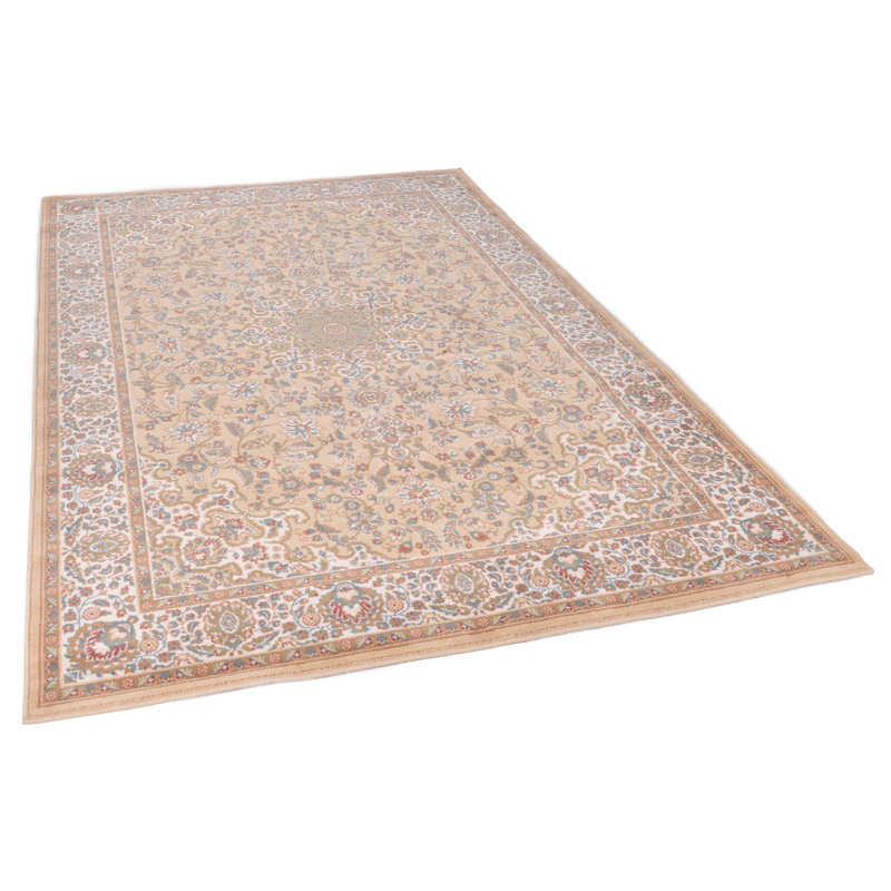 Oriental Area Rug, Rectangular 160 x 230cm