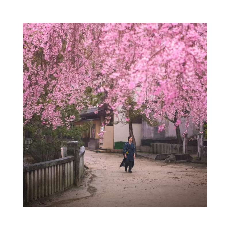 Spring in Japan II 1 Piece Wrapped Canvas Wall Art, 30.48 cm H x 30.48 cm W