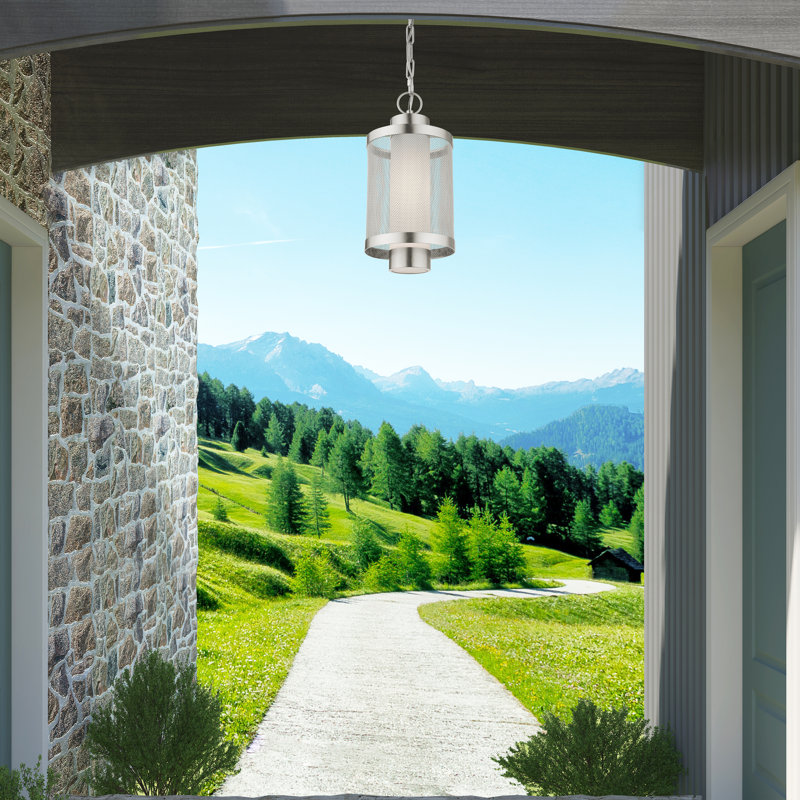 Lanterne suspendue d'extérieur Zebra, H 16,87 po x l 9 po x P 9 po, Nickel brossé