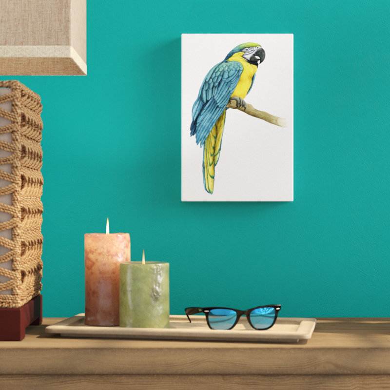 Teal Macaw I - Painting Print, Wrapped Canvas, 30cm H x 20cm W