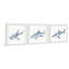 Calumet Be A Shark, ensemble de 3 reproductions encadrées-815177203
