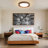 Round LED Flush Mount -19.68 Inch-655534280