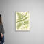Art sur toile, "Ferns with Platemark I"-480121418-480121413