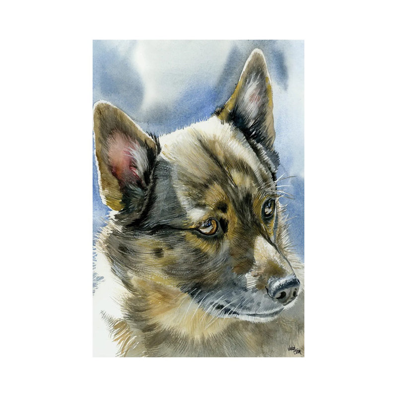 Viking Dog - Swedish Vallhund by Judith Stein - Wrapped Canvas Gallery-Wrapped Canvas Giclée, 30.48cm H x 20.32cm W