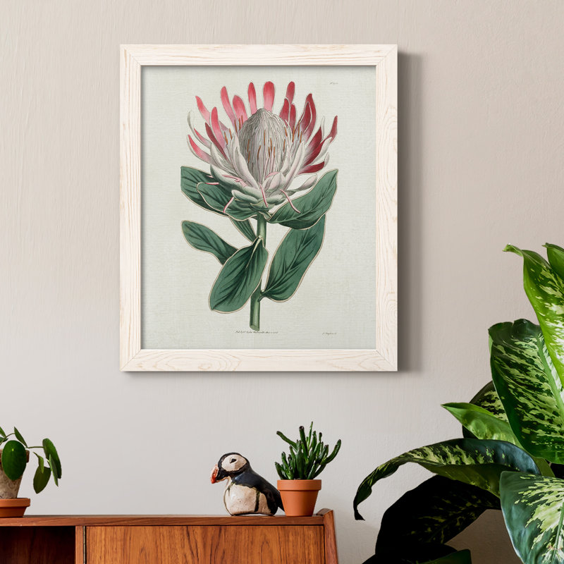 Protea N13 - Peinture sur toile encadrée, Cadre blanc, H 24 po x l 18 po x P 1,5 po