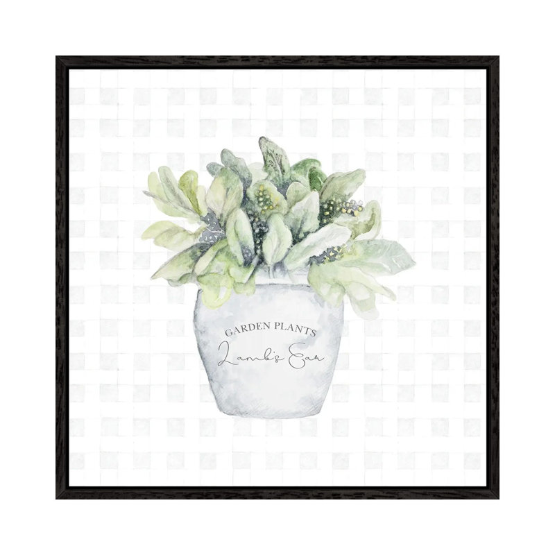 Garden Plants III by Janice Gaynor - Gallery-Wrapped Canvas Giclée on Canvas, Black Framed, 45.72 cm H x 45.72 cm W