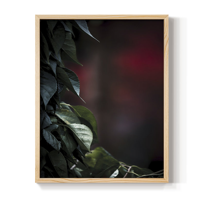 Dramatic Foliage I Framed Print - Solid Wood, 15" H x 12" W
