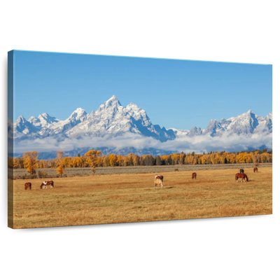 Alvord Grand Teton Autumn Scene